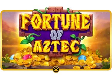 zz66 bet
